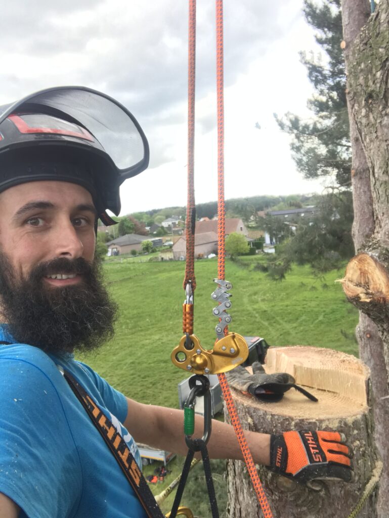 tree care tom boomverzorger